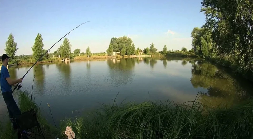 белые камни