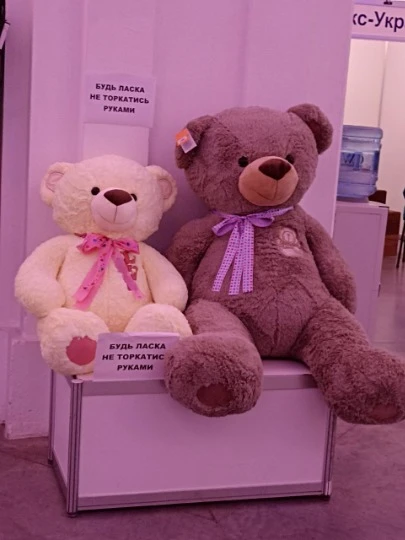 Фото: ТРИБУН