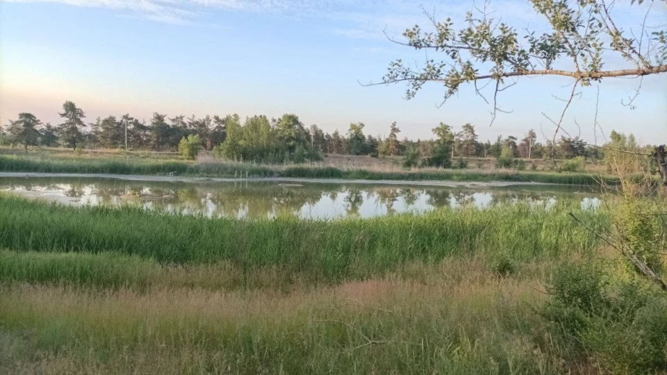 Паркове озеро, фото Трибуна