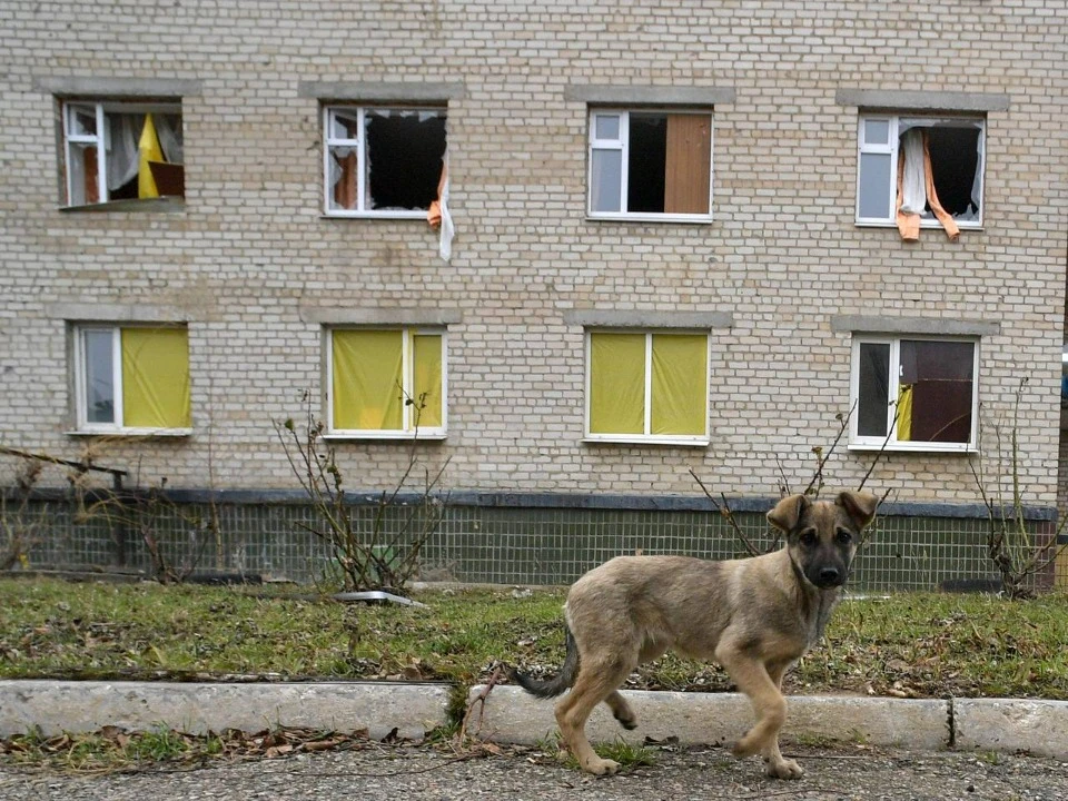 Обстріли Новоайдару. Фото: Александр Гальперин