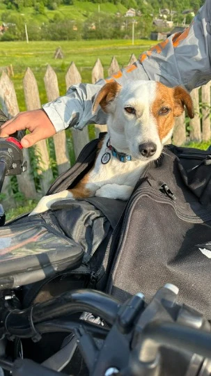 Реджи постійно мандрує з родиною