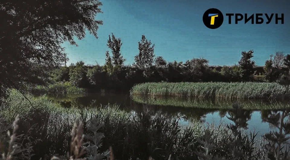 Тимчасово окупована Попасна