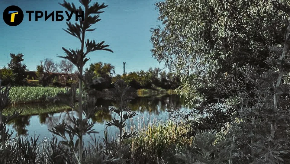 Тимчасово окупована Попасна