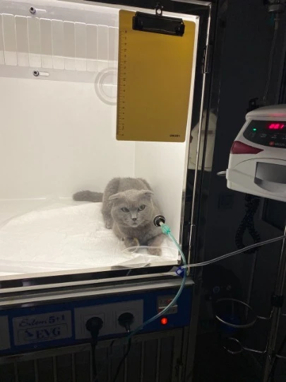 Фото з архіву Анастасії