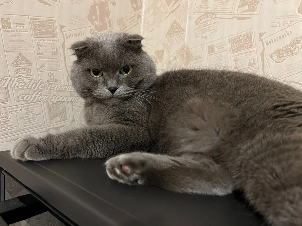 Фото з архіву Анастасії