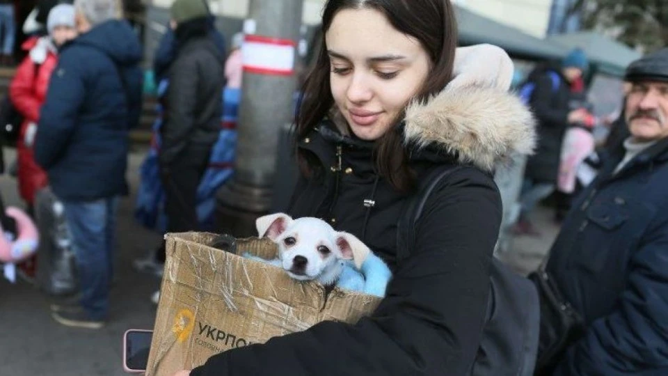 Фото: УНІАН