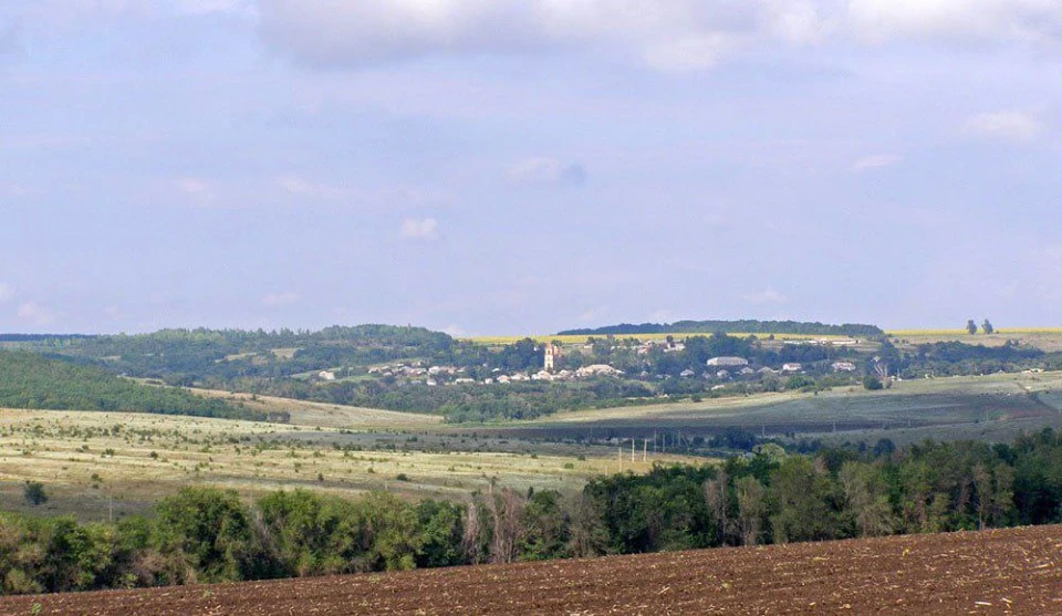 Краєвиди Лісної Поляни (Марківський район), фото з відкритих джерел