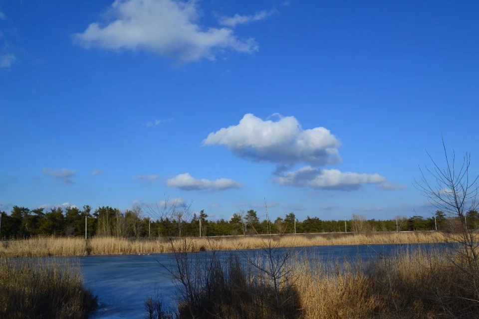 Чисте озеро в Сєвєродонецьку / Автор фото: Евген Янковий