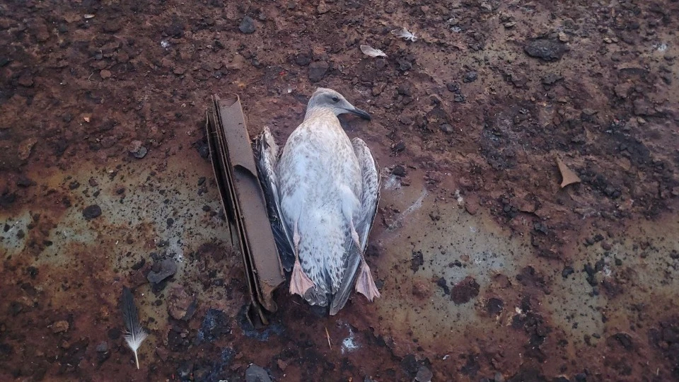 Наслідки нічної атаки  на Одесу 18 липня