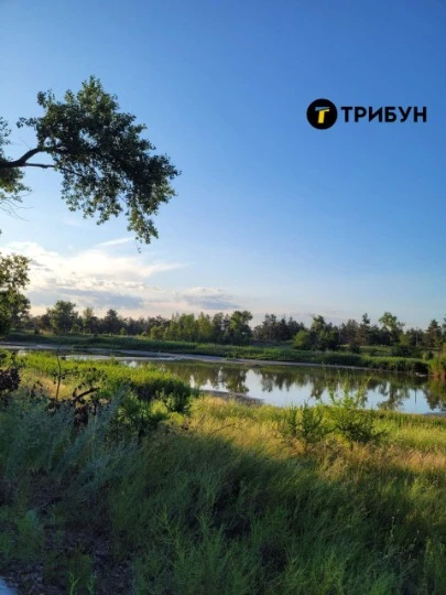 Паркове озеро в Сєвєродонецьку