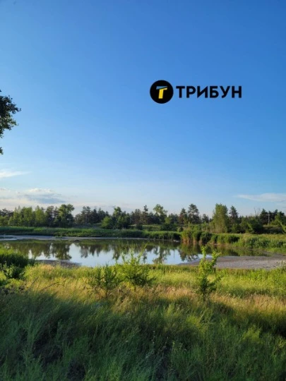 Паркове озеро в Сєвєродонецьку