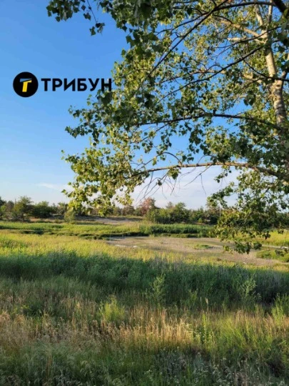 Паркове озеро в Сєвєродонецьку