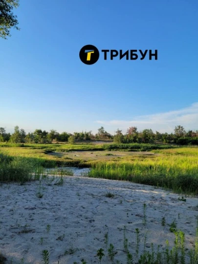 Паркове озеро в Сєвєродонецьку