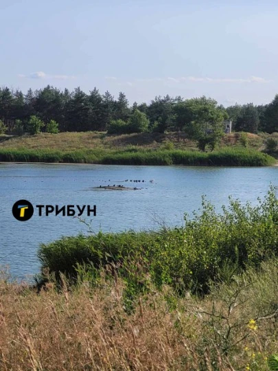 Чисте озеро в Сєвєродонецьку