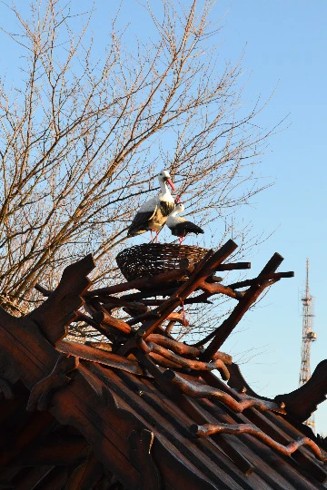 Сєвєродонецьк Автор: Евген Янковий