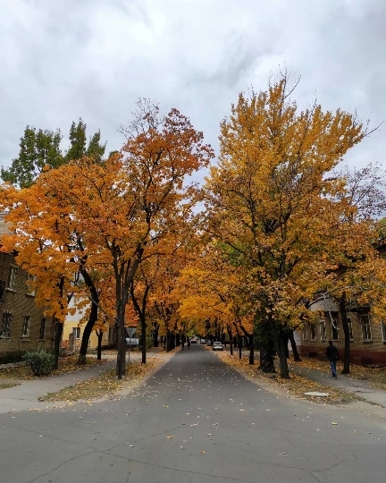 Сєвєродонецьк Автор: Евген Янковий