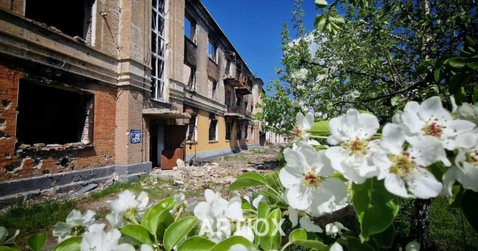 Серед руїн окупованого Рубіжного на Луганщині квітнуть дерева