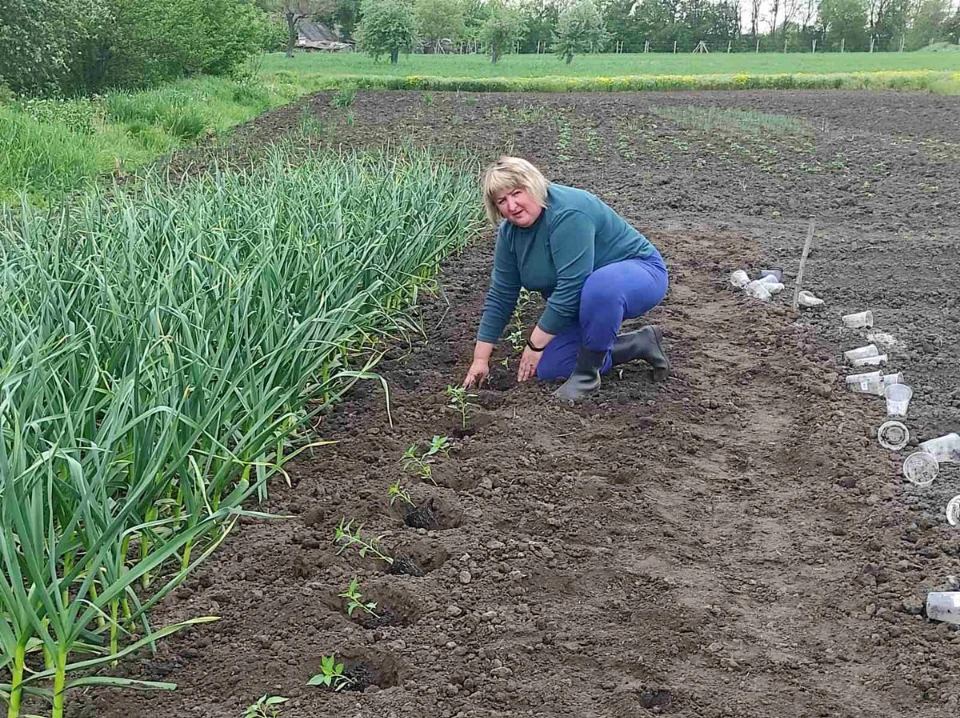 Facebook\Юлия Самофалова