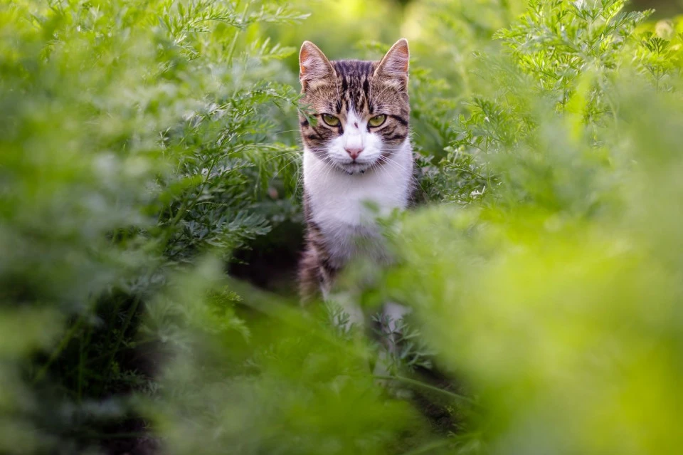 Facebook\Юлия Самофалова