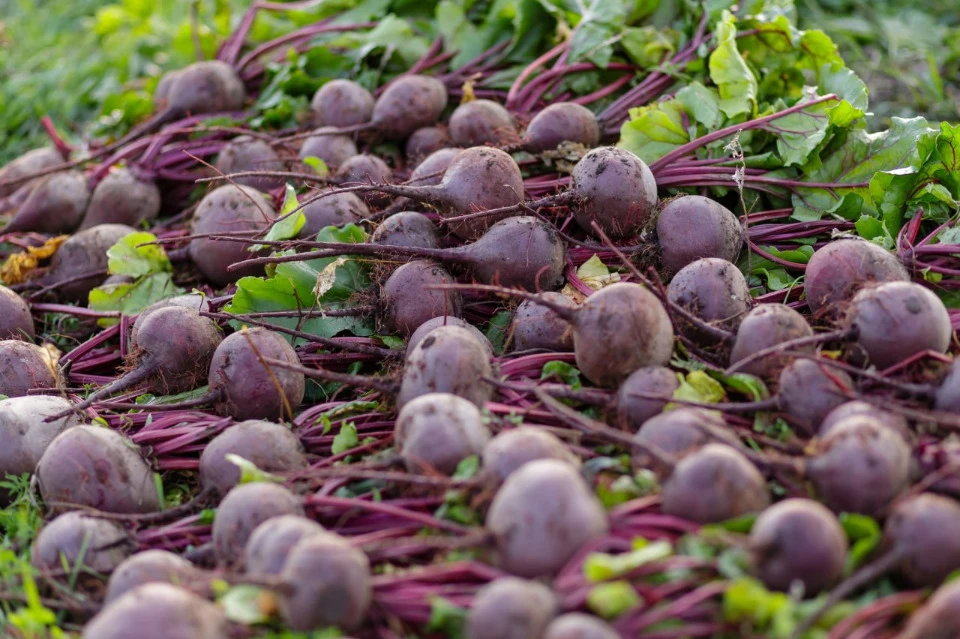 Facebook\Юлия Самофалова