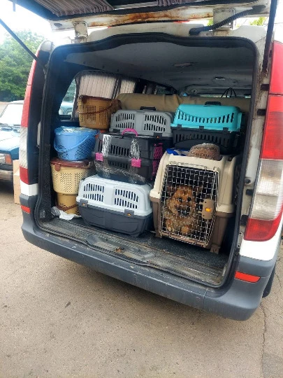 Евакуація тварин