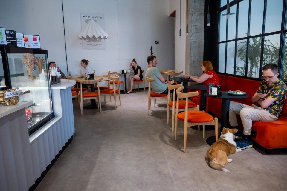 В кафе “Yaskravi” можно приходить с собаками