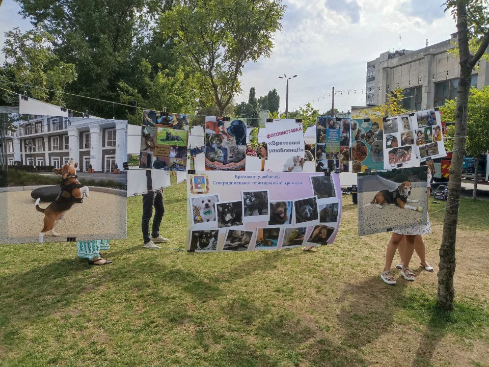 Выставка Фото: Трибун