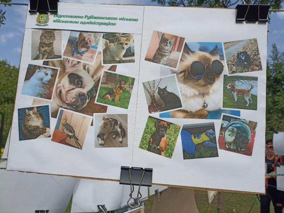 Выставка Фото: Трибун