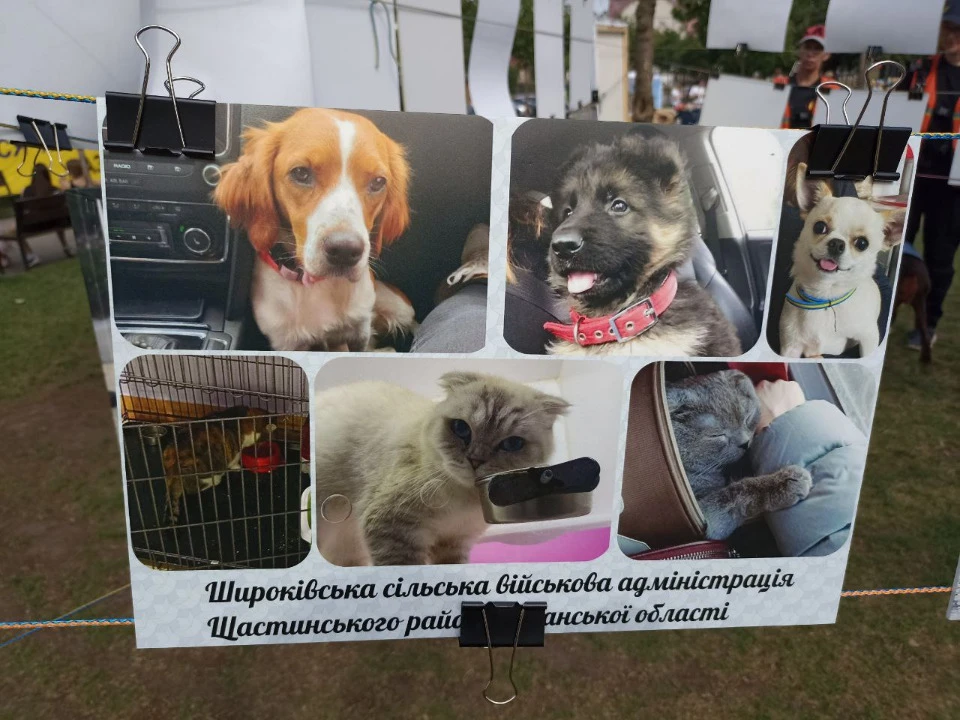 Выставка Фото: Трибун