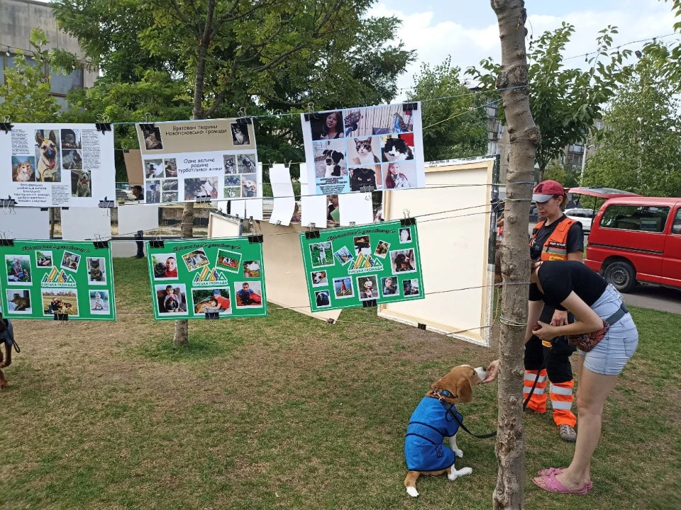 Выставка Фото: Трибун