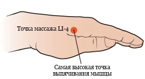 точка від голови