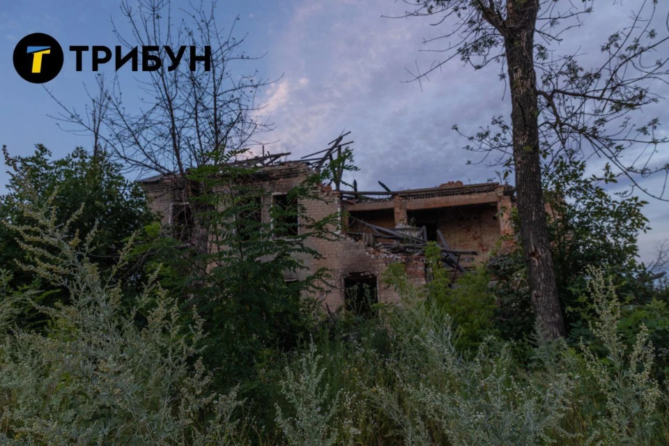 Новотошковское Фото: Трибун