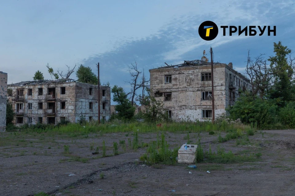 Новотошковское Фото: Трибун