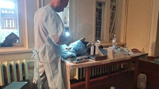 Проведення стерилізації безпритульних тварин в Святогірську