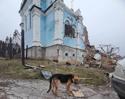 Безпритульна собака на фоні зруйнованого храму в Святогірську