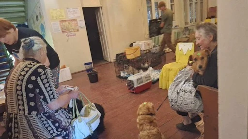 Люди в черзі з тваринами