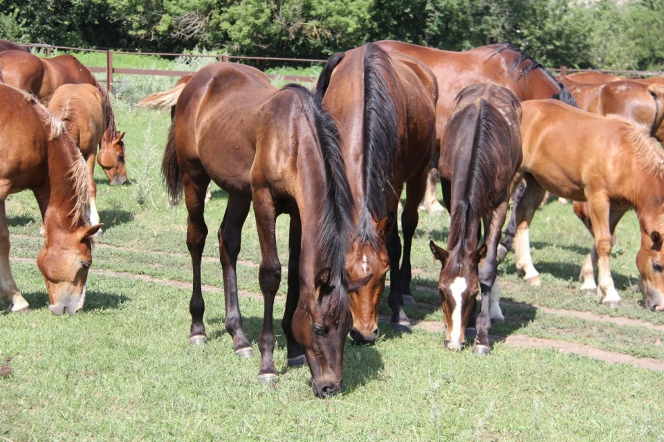 Фото: соцмережі