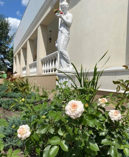 Пляж “Esenia beach” у Рубіжному