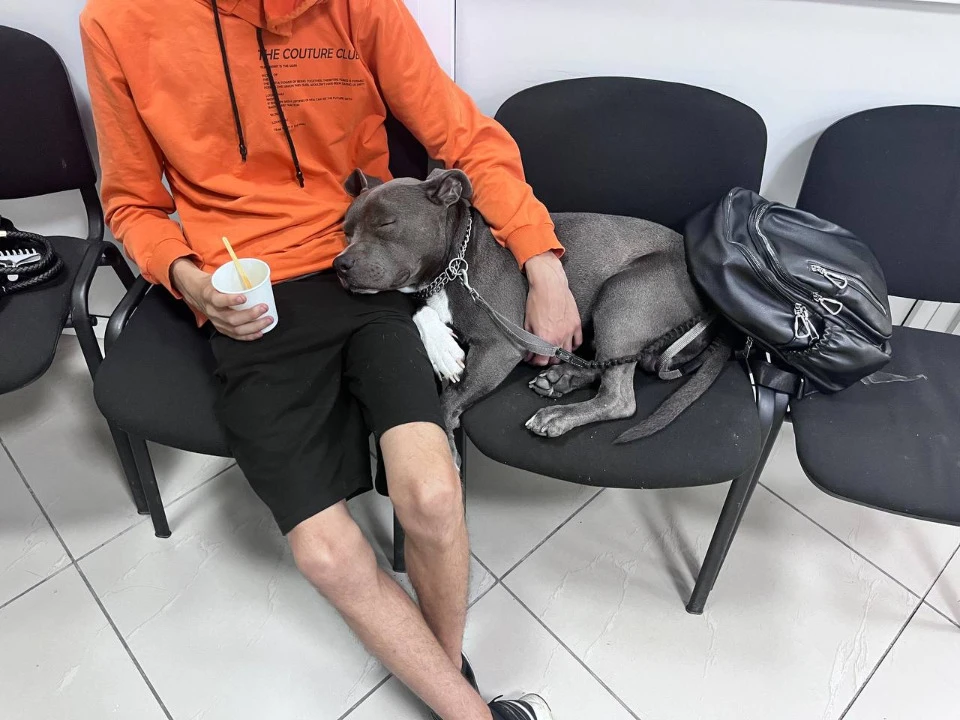 Фото: Волонтерський пункт “Атмосфера”