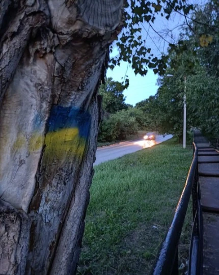 Український прапор в Донецьку