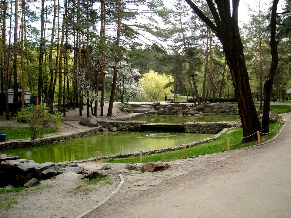 сосновий бір