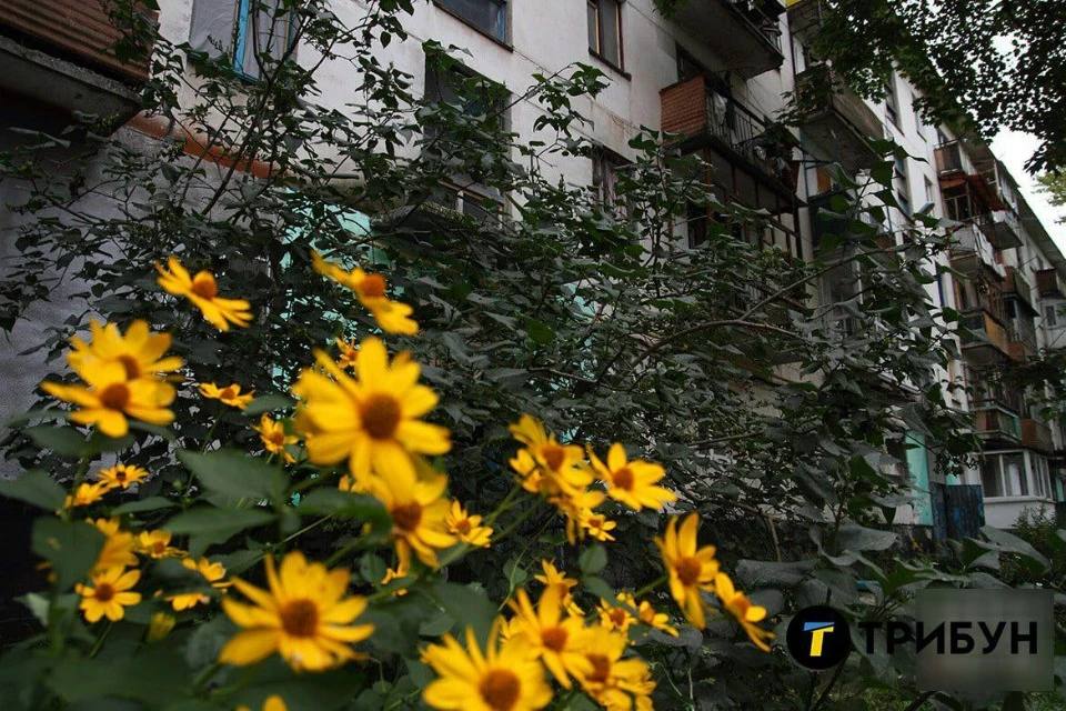 Окупований Лисичанськ