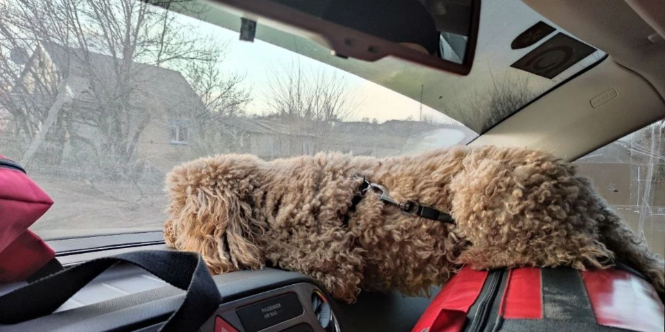 Евакуація з міста