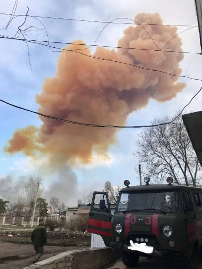 “помаранчевий гриб” у Рубіжному