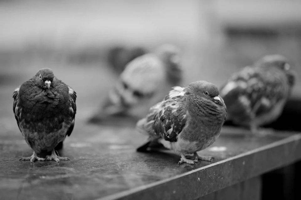 Фото з архіву Артема Семенюка