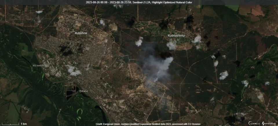 Ліс на Луганщині