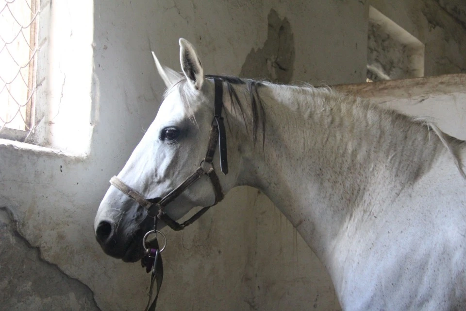 Джерело фото: ТРИБУН