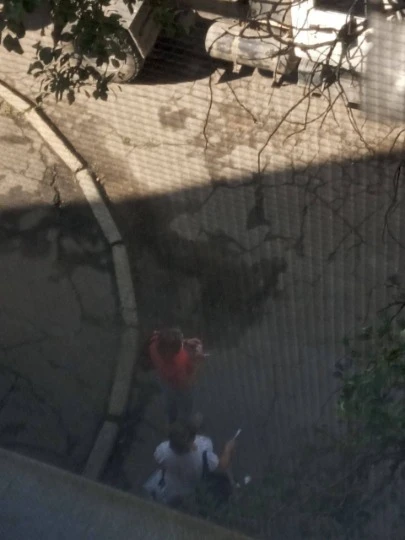 Проведення виборів у Генічеську