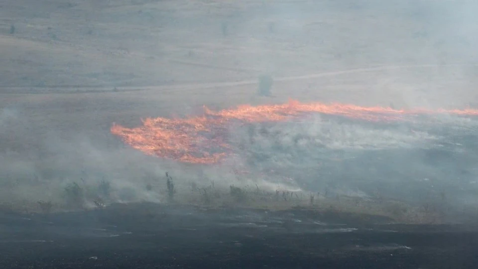 Пожежі на Луганщині