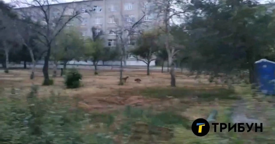 Сєвєродонецьк